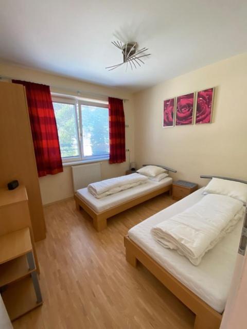 My Adventure Appartements Schladming By Schladmingurlaub Exterior foto